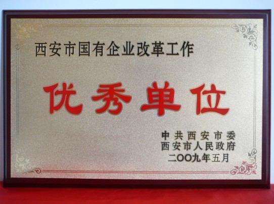 2009年5月，被西安市委、市政府評(píng)為西安市國(guó)企業(yè)改革工作優(yōu)秀單位