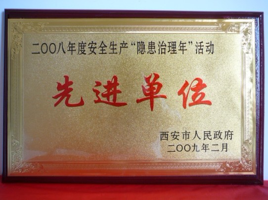 2009年2月，被西安市人民政府評(píng)為2008年度安全生產(chǎn)“隱患治理年”活動(dòng)先進(jìn)單位