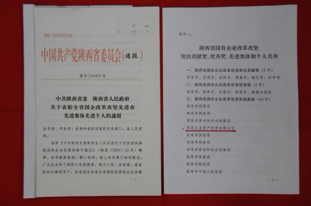 2009年2月，被陜西省委、省政府授予陜西省國(guó)有企業(yè)改革攻堅(jiān)先進(jìn)集體